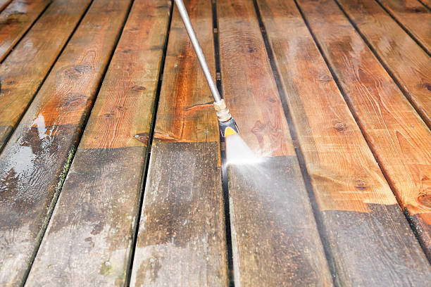 Best Animal Enclosure Cleaning  in Hillcrest Heights, MD
